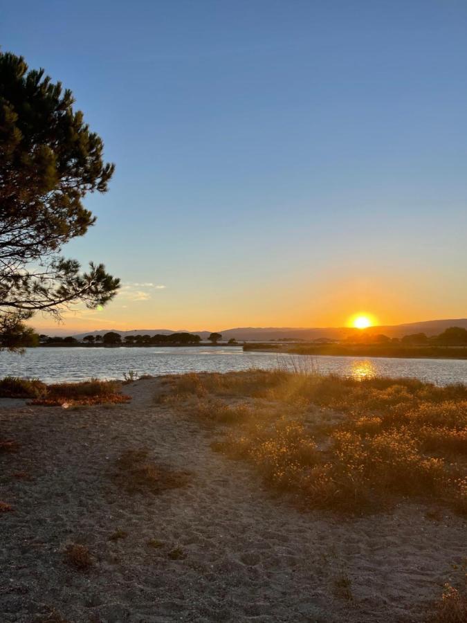 T2 Avec Terrasse, Vue Etang Et Son Coucher De Soleil, Plage A Proximite, Wifi Et Place De Parking Gratuit Que L On Nomme Puesta De Sol Le Barcares Exterior photo